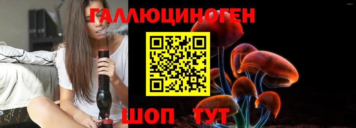 Галлюциногенные грибы Psilocybe  Псилоцибиновые грибы MAGIC MUSHROOMS  Тобольск  Вход с VPN 